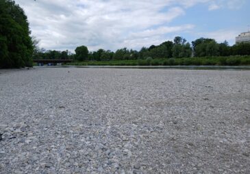 Kiesbett der Isar