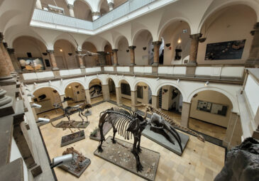 Lichthof Paläontologisches Museum München