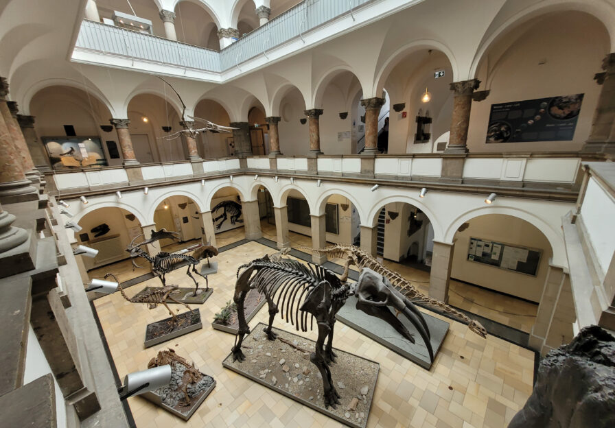 Lichthof Paläontologisches Museum München