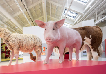 Rind, Huhn, Schaf und Schwein: Auf einem Podest werden in der Ausstellung die wichtigsten heimischen Nutztiere präsentiert.