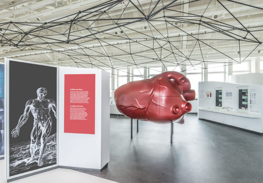 Blick in die Ausstellung Gesundheit