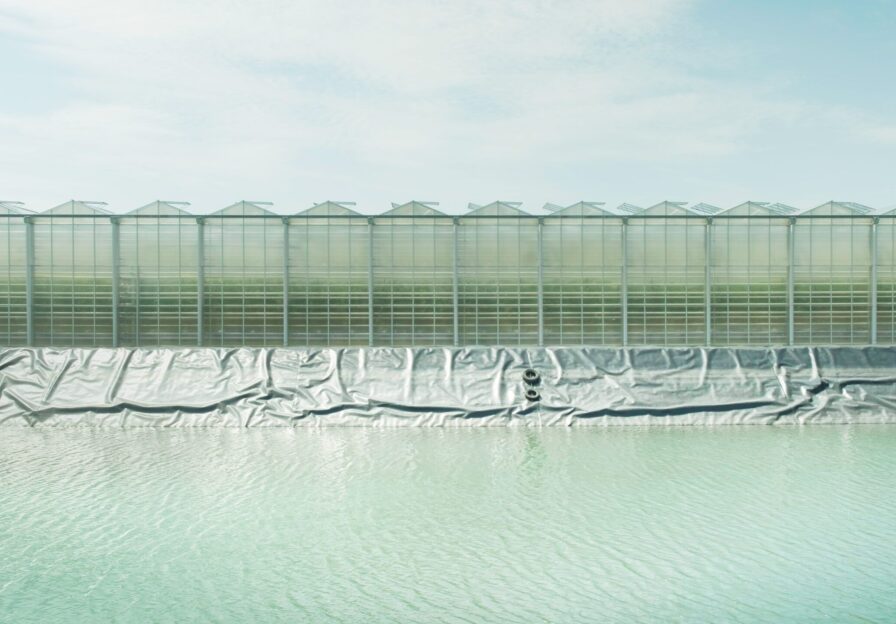 Regenwasserteich, der zur Bewässerung der Pflanzen genutzt wird, mit einem Gewächshaus im Hintergrund, in dem Tomaten angebaut werden, Kirchweidach, Bayern.