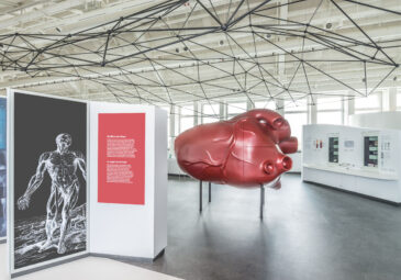Blick in die Ausstellung Gesundheit