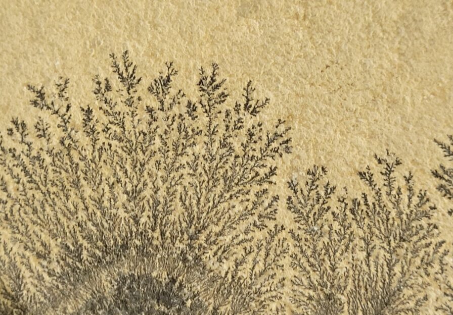 Solnhofener Plattenkalk mit Dendriten