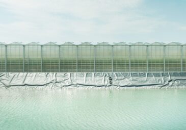Regenwasserteich, der zur Bewässerung der Pflanzen genutzt wird, mit einem Gewächshaus im Hintergrund, in dem Tomaten angebaut werden, Kirchweidach, Bayern.