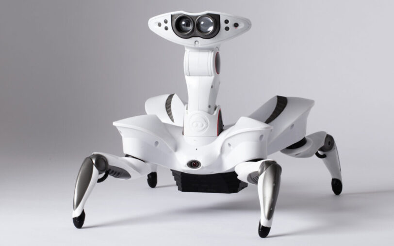 Vierbeiniger Roboter.