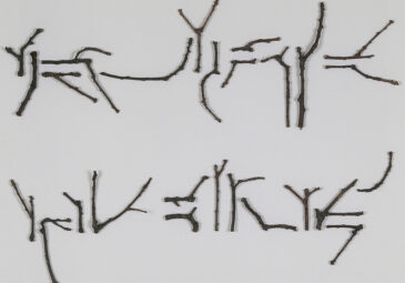 Kunstwerk aus Stöckchen, die aussehen wie Schrift.