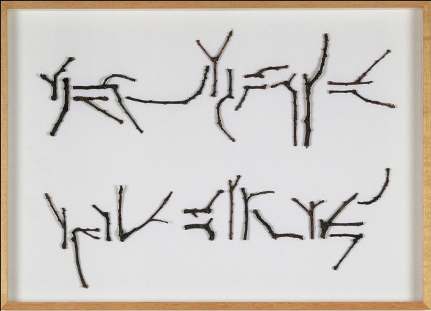 © Werner Henkel „Berichte aus den Wäldern