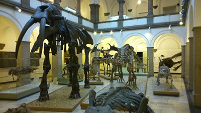 © Museumspädagogisches Zentrum, München