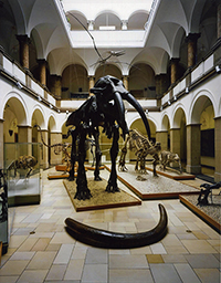 © Museumspädagogisches Zentrum, München